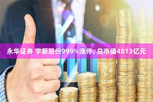 永华证券 宇新股份999%涨停, 总市值4813亿元