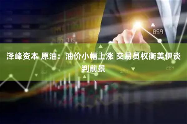 泽峰资本 原油：油价小幅上涨 交易员权衡美伊谈判前景