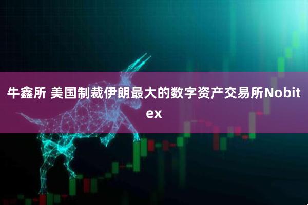 牛鑫所 美国制裁伊朗最大的数字资产交易所Nobitex